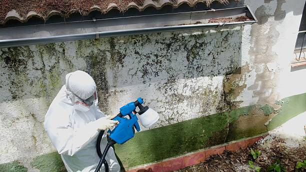 Top rated local Commercial Mold Remediation specialists in Willow Hill, PA